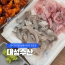 동광수산 | 영덕 강구항 동광어시장 대성수산 회포장 내돈내산 후기