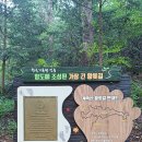 11월11일(토) 계족산 둘레길(장동산림욕장~대청호수변공원) 이미지