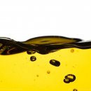 올리브안경갤러리 이미지