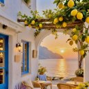 감성드로잉 여행스케치 | 레몬나무가 있는 카페