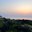 라데나 제주 이미지