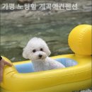 가평노팅힐계곡애견펜션 이미지