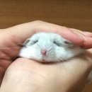 씨유 김포공원점 | ♡saka 1•2