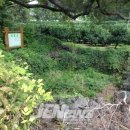 안덕면 통물(감산리) 이미지