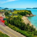 바다와 숲 이미지