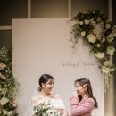 트라디노이 이미지