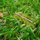 주택복권사랑방 이미지