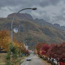 청량산의 봄 | 봉화 여행, 청량산수원캠핑장