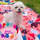 도기키친 프롬제주 이미지