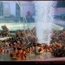 장호어촌체험마을 이미지