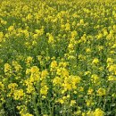 갈밭농장 이미지