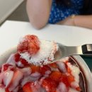 빙츄르 - 강남구 학동로20길 31 | 빙츄르