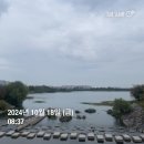 20 수원화성 미디어아트 2024 | 갤럭시탭S9FE플러스 언박싱 후기 | 미트테일 | BBQ치킨 | 결기...