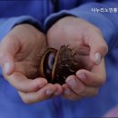 신당리요양원 나누리노인통합지원센터 진주시의 믿음직한 요양원