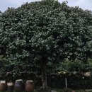 소길다방 - 남해군 미조로236번길 18-3 | 소길다방