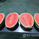 달디 이미지