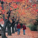 여의서로 이미지