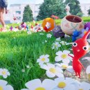 블룸블룸과천