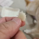 시골개 새참 이미지