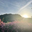 해피토이 이미지