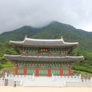 산청에가면
