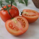 식탁의품격 이미지