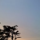 유림-5 이미지