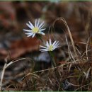 비엔나모텔 이미지