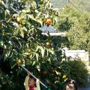 즐거운 자동차 마을 이미지