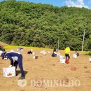 우보면 행정복지센터 이미지
