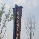 고랑포구역사공원 이미지
