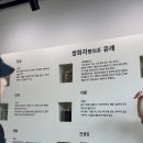 달하노피곰 캡슐호텔 이미지