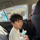 대라여자경로당 | 세부 아이와 여행 : 탐불리리조트 데이유즈 후기 및 비용