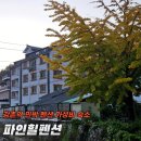 가평파인힐펜션 | 강촌역 가족과 즐기기 좋은 가성비 숙소 파인힐펜션