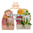 정성가득 | 시흥과일바구니 멜로망고 어버이날선물 정성 가득한 후기