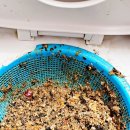 청진동식당 이미지