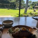 신풍낙지(주) 이미지