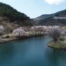 벽계야영장 이미지