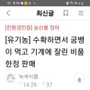 네이버 친사모 이벤트 친사모를 알려라 ~모바일(휴대폰)으로 참여 하시는 방법~♡ 이미지