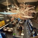 수내지하차도 위 | [참치랜드] 분당 참치 분당 수내역 맛집 특수부위 B코스 후기!