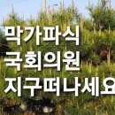 막말 국회의원 이미지