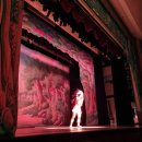 공룡 애니멀쇼 이미지