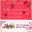 송정1리경로당 이미지