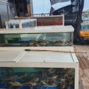 옥상조개구이&홍게무한리필 이미지