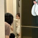 휴양림길 | 대구 근교 아기랑 가기 좋은 브런치 카페 슬로우스톤 내돈내산 방문 후기