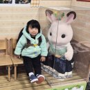합수화장실 | 방광요관재문합수술 후기 서울대병원 20개월아기