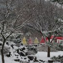 와수리약국 이미지