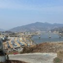 광양매화문화관 | [광양 여행] 2026 이번 주말 광양 매화축제 방문 후기(주차, 맛집, 놀거리 정보)