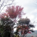선들재 이미지