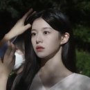 픽커트 이미지